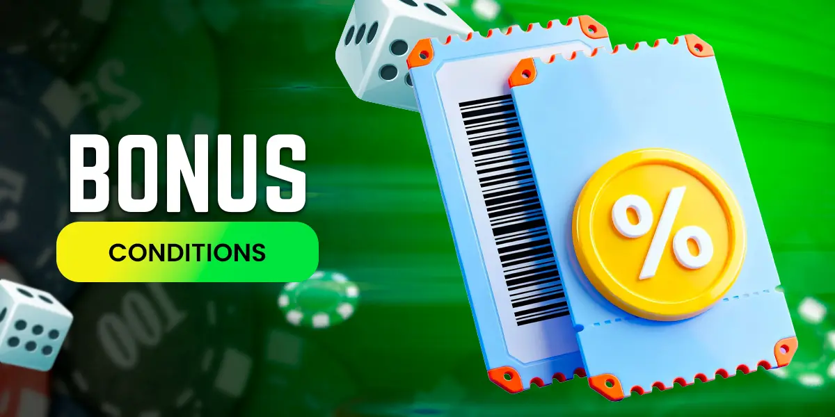 Terms and conditions for obtaining and using promotional codes